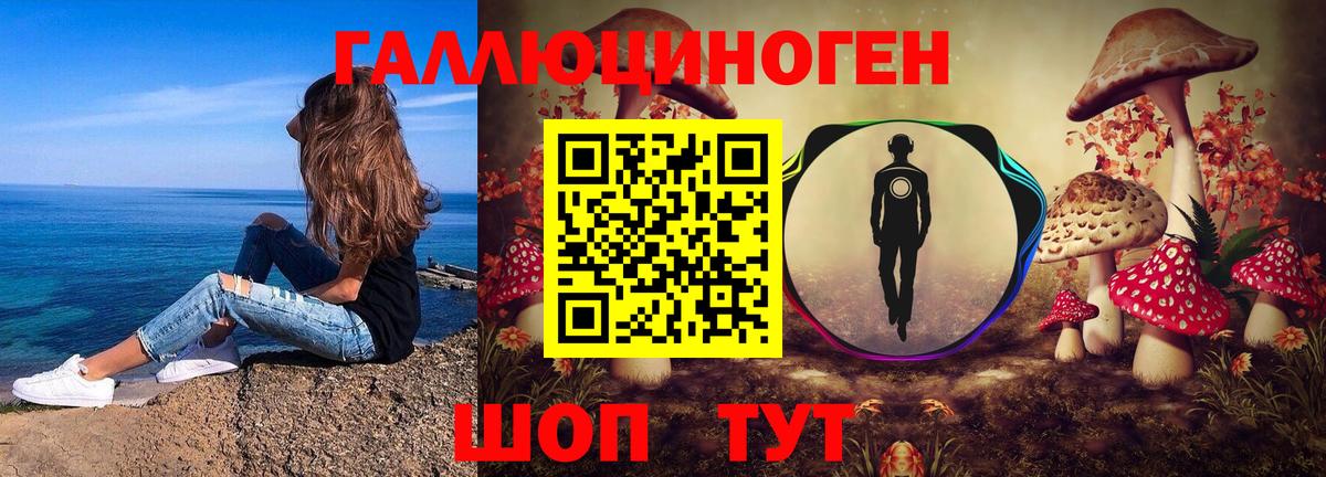 Псилоцибиновые грибы Psilocybe Кстово